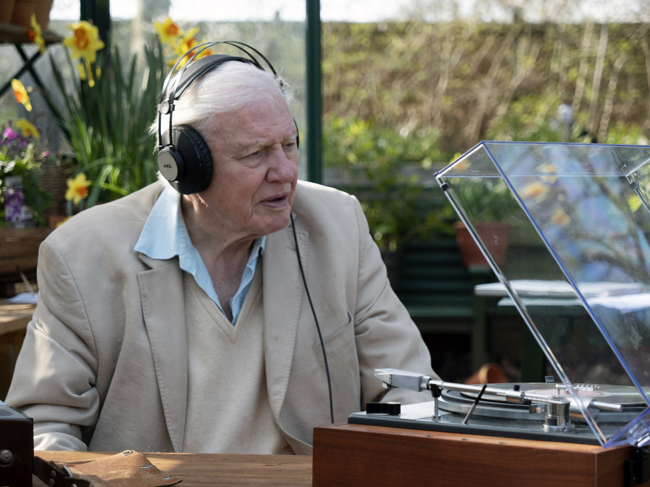  Sir David Attenborough ile Doğal Dünyanın Olağanüstü Seslerini Dinlemeye Davetlisiniz