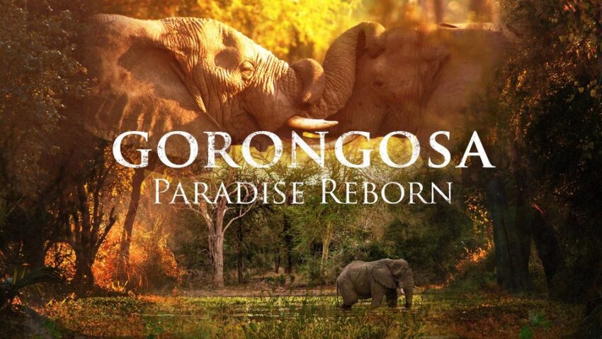 disney-gorongosa