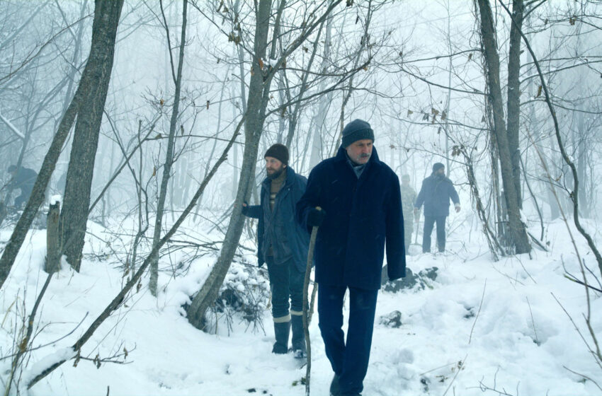  Ödüllü Film ‘Kar ve Ayı’ Amerika Prömiyerini Gerçekleştirdi