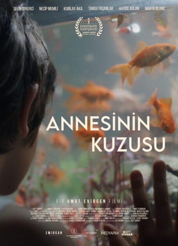 Annesinin