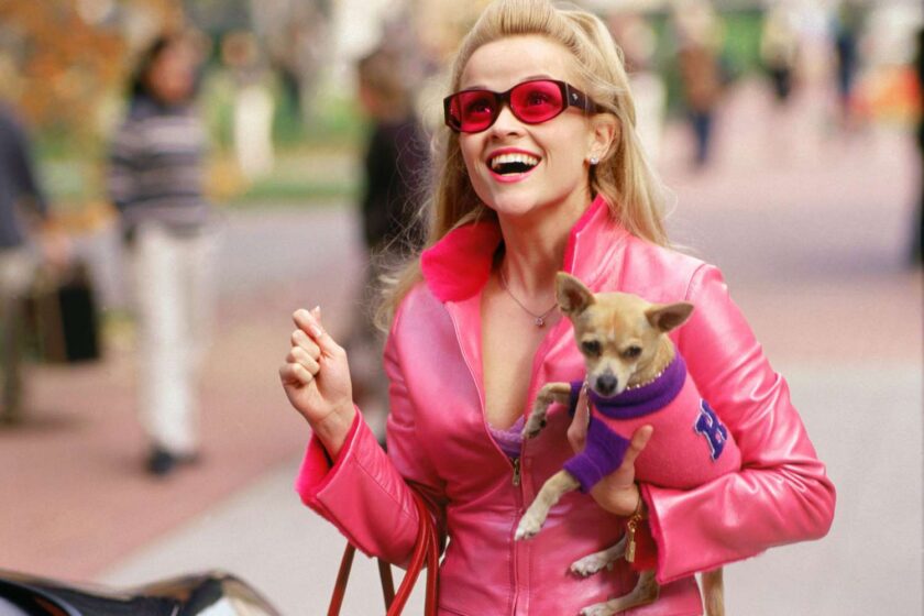 Legally Blonde dizisi