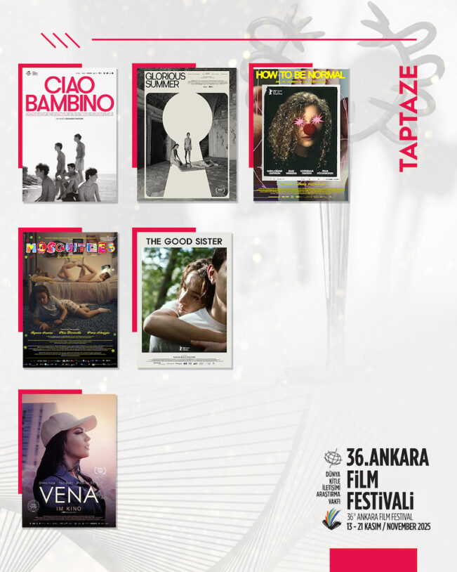 ankara film festivali