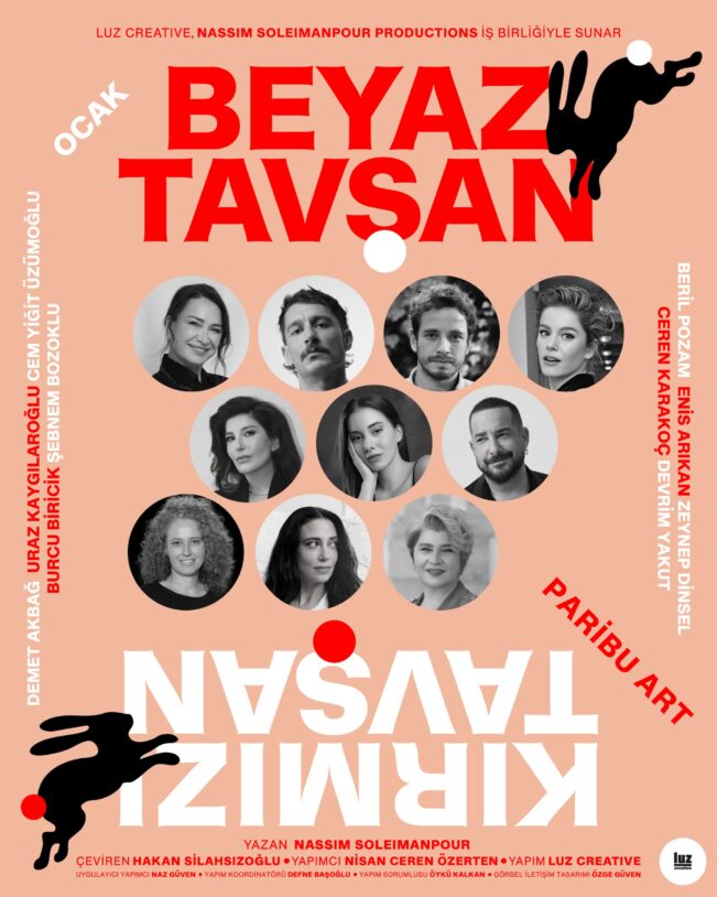 beyaz tavşan kırmızı tavşan