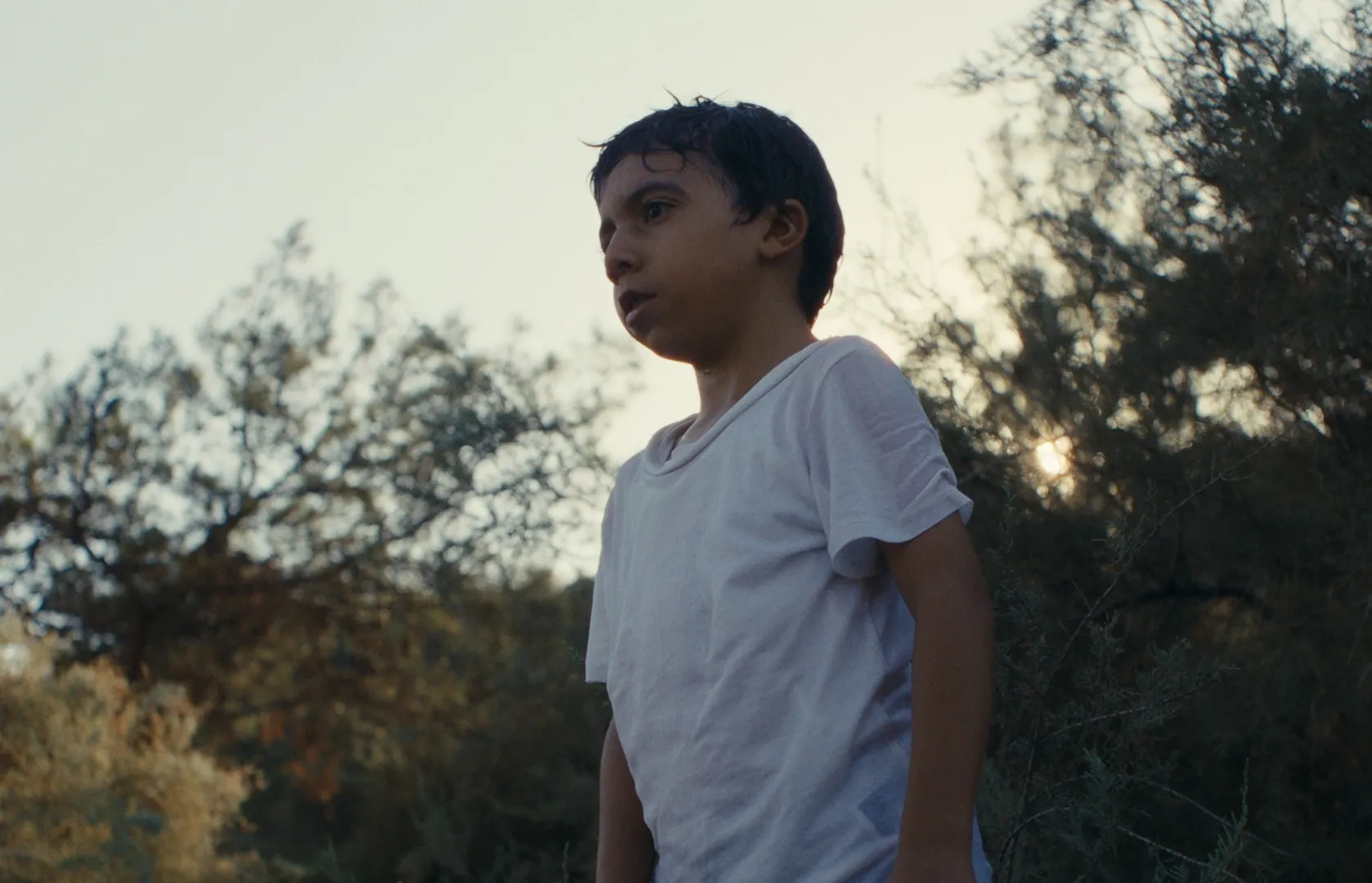 ‘Porkatal’, Altın Portakal’da Yarışacak